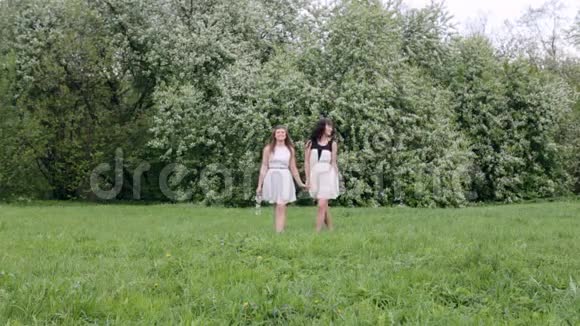 两个快乐的女孩在一棵开花的树的背景下在绿草中玩耍视频的预览图