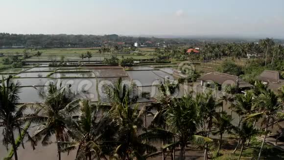 4K航天飞行无人机视频稻田满水巴厘岛视频的预览图
