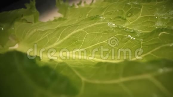 水培蔬菜农场系统新鲜有机绿叶莴苣沙拉植物视频的预览图