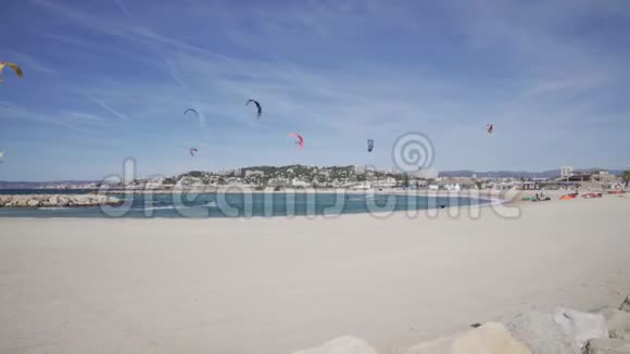 海滩背景是棕榈树和风筝手视频的预览图