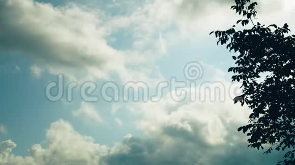 乌云笼罩着房子云拖蓝天树倚风视频的预览图
