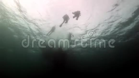 巴伦支海水下潜水员的剪影视频的预览图