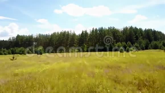 无人机快速向前飞在郁郁葱葱的草地之上升起夏季田野和常绿森林的空中拍摄太棒了4K视频的预览图