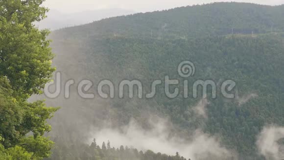 云雾笼罩着青山绿水山峦覆盖着绿林视频的预览图