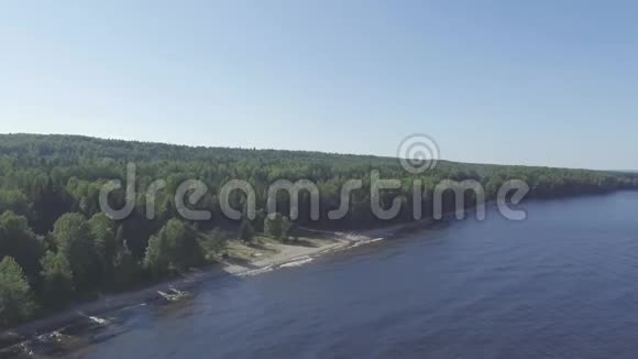 林中湖岸边飞行的空中风景不饱和视频的预览图