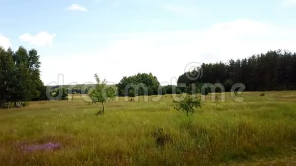 无人机在夏日草地上低飞空中拍摄田园风和日丽的田野郁郁葱葱的绿色植物树木和鲜花4K视频的预览图