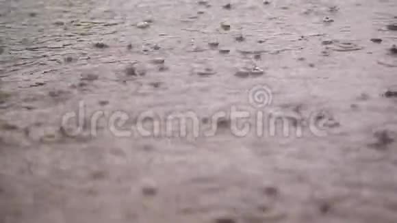 近景大的大雨降雨淋浴跌倒与水溅气泡在潮湿的水坑表面视频的预览图