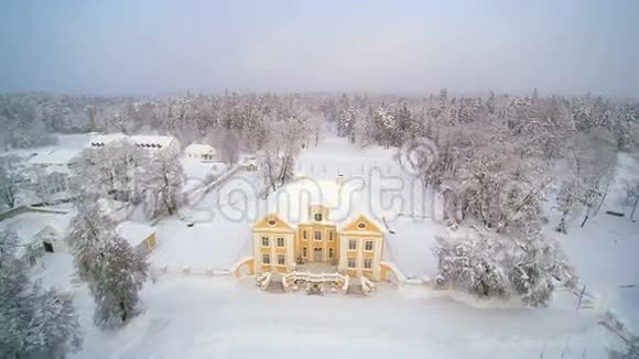 空中飘雪的屋顶景色视频的预览图