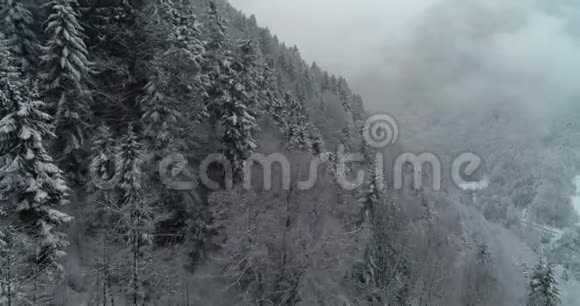 森林的空中景色和蒙塔内的雪视频的预览图
