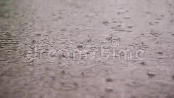 近景大的大雨降雨淋浴跌倒与水溅气泡在潮湿的水坑表面视频的预览图