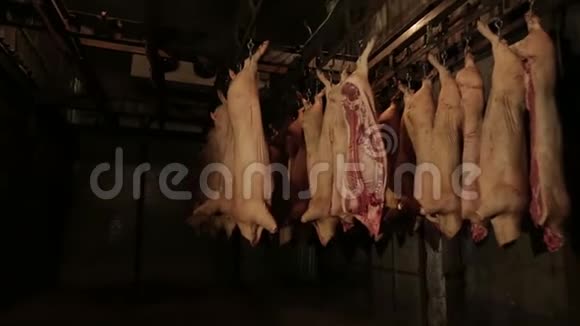 肉类冷藏肉类生产视频的预览图