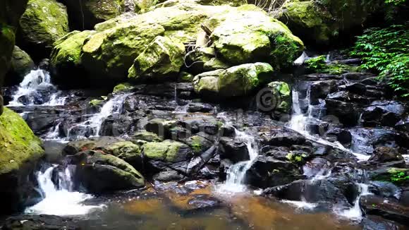 自然泉溪视频的预览图