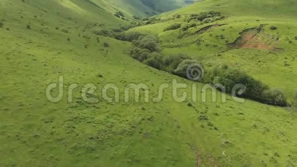 夏季飞越山区绿峡的空中景色视频的预览图