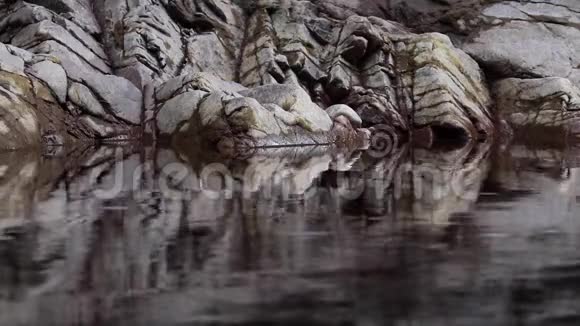 苏格兰八月一条平静平静平静的河中的岩石反射河视频的预览图