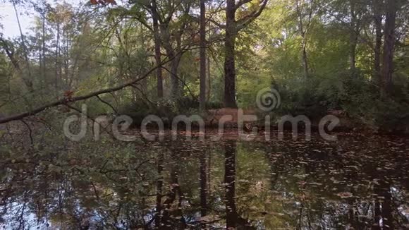 秋天湖上的树木落叶和树木的倒影潘拍摄视频的预览图