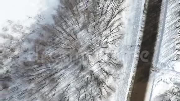 空中无人机视图飞越森林的秋山村视频的预览图