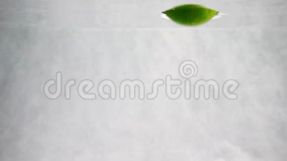 绿色的酸橙被扔进一个装水的容器里水果慢动作视频视频的预览图