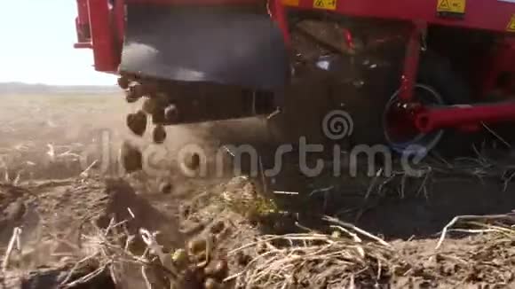 特写专用拖拉机挖掘新鲜和生土豆农业机械在农田上收获土豆视频的预览图