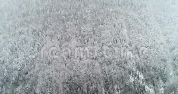 森林的空中景色和蒙塔内的雪视频的预览图