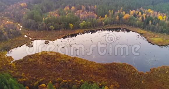 秋天的白俄罗斯自然视频的预览图