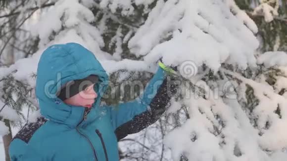 青少年在冬季公园散步把雪从树上重置在新鲜空气中游走健康的生活方式视频的预览图