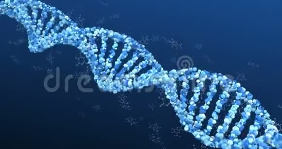 3DDNA与氨基酸链视频的预览图