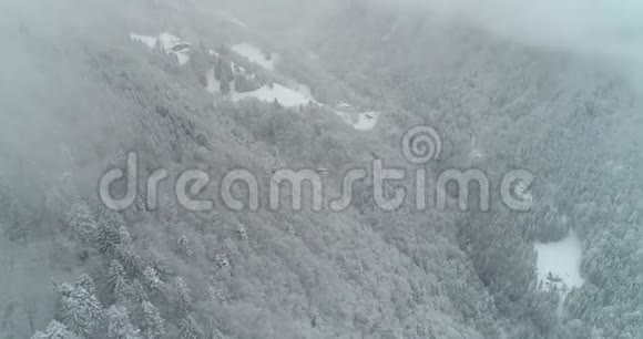 森林的空中景色和蒙塔内的雪视频的预览图