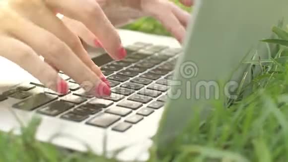年轻女子在大自然的笔记本电脑键盘上打字视频的预览图