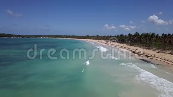 鸟瞰澳门海滩和长廊棕榈树和人们躺在海滩上多米尼加共和国视频的预览图