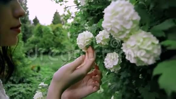 年轻的黑发女孩抚摸着盛开的白色花朵视频的预览图