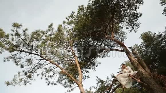 这对幸福相爱的夫妇坐在树上欣赏风景视频的预览图