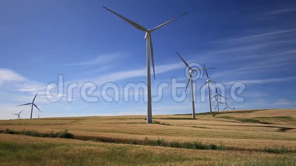 绿色草地上的风力涡轮机西班牙卡迪斯法西纳斯视频的预览图