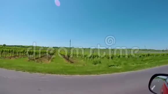 在奥地利Rust村附近有一辆汽车上的一排葡萄视频的预览图