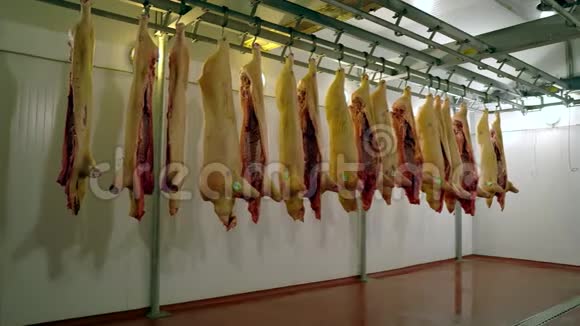 肉厂食品营养蛋白皮血屠房中挂在挂钩上的生猪肉特写视频的预览图
