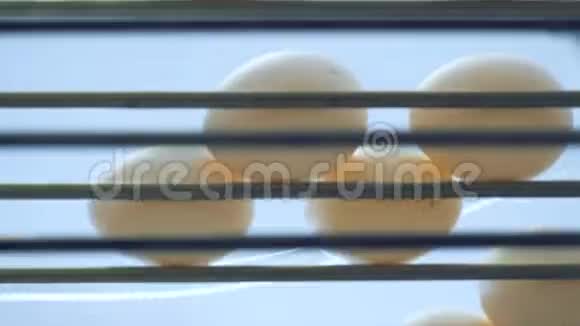 沿着金属输送机移动的鸡蛋的底部视图视频的预览图