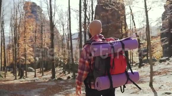 在树林里散步的年轻人肩上背着一个背包这个人在秋天环游欧洲视频的预览图