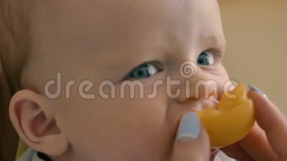 可爱的小男孩正在吃杏的画像视频的预览图