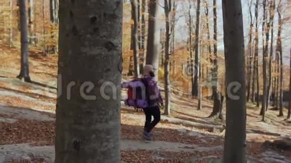 一个背着背包的人从一条高山小径上下来黄叶从树上掉下来黄金黄金视频的预览图