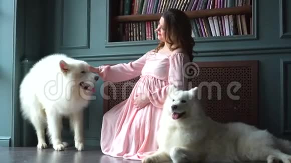 穿着粉红色裙子的美丽孕妇正和她的两只大白狗坐在地上视频的预览图