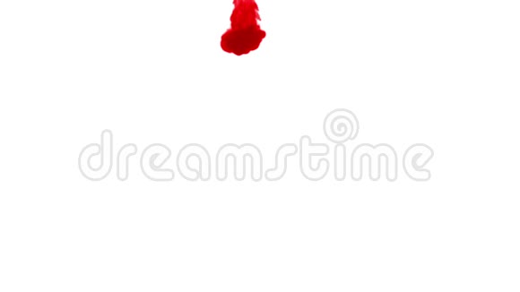 红墨水在白色背景上溶解在水中用Luma哑光计算机仿真的三维渲染V10一个流量视频的预览图