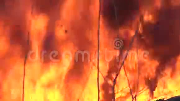 火烟燃烧的房子视频的预览图