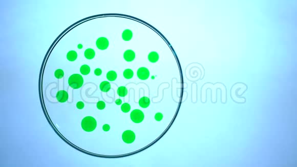 化学实验室用滴绿色液体培养皿视频的预览图