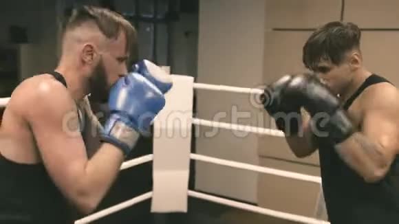 两个拳击手训练拳打脚踢和防守视频的预览图