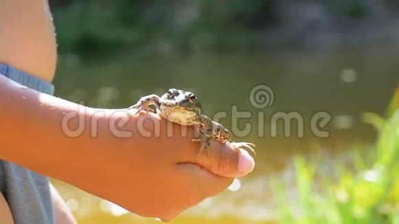 小男孩手里拿着一只青蛙在河边的海滩上慢动作视频的预览图