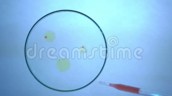 培养皿中的化学研究带红色液体的实验室吸管视频的预览图
