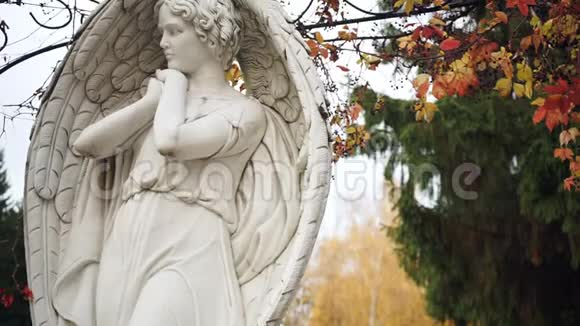 森林背景下天使的雕像视频的预览图