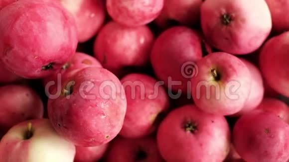 许多成熟的红苹果聚集在夏天视频的预览图