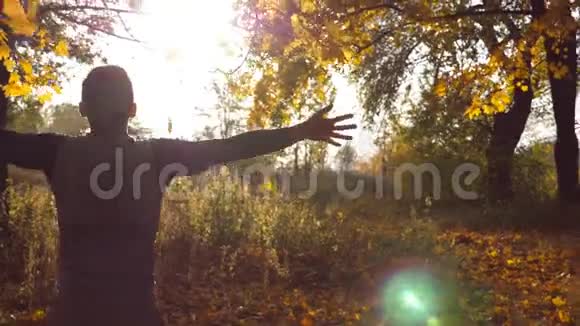 少年站在秋林中举手黄色和棕色的叶子掉下来一个喜欢美丽的男人视频的预览图