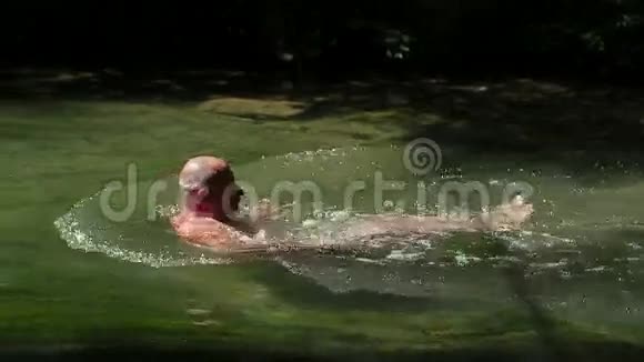 人在河里游泳视频的预览图