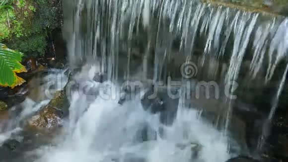 里约热内卢植物园的瀑布飞溅视频的预览图